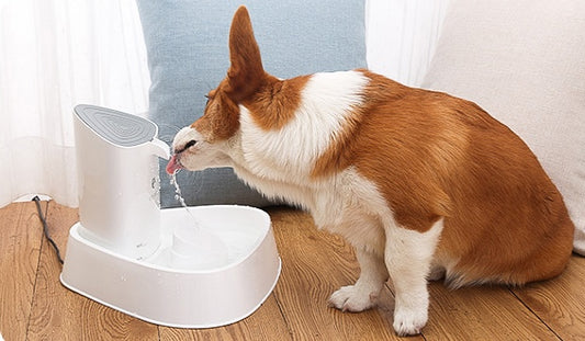 Automatic Pet Water Fountain – Quiet Circulating Dispenser for Dogs & Cats