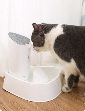 Automatic Pet Water Fountain – Quiet Circulating Dispenser for Dogs & Cats